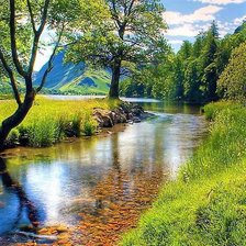 Схема вышивки «Природа»