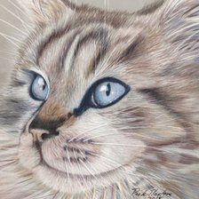 Схема вышивки «Кот»