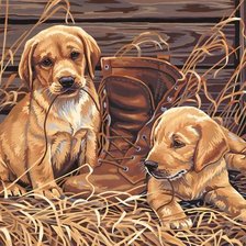 Схема вышивки «Щенки»