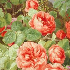 Схема вышивки «Розы»