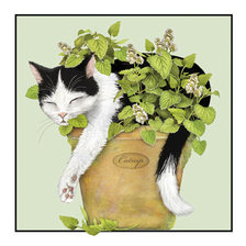 Схема вышивки «Котик в мяте»