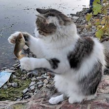 Схема вышивки «Рыбак.»