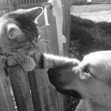 Схема вышивки «Друзья.»