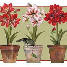 Схема вышивки «Амариллис»