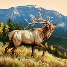 Схема вышивки «№2633070»