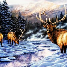 Схема вышивки «№2633077»