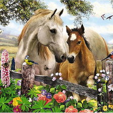 Схема вышивки «CABALLOS»