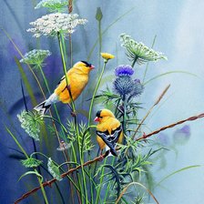 Схема вышивки «Птички»