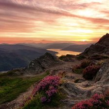 Схема вышивки «Scotland Шотландия»