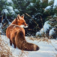 Схема вышивки «Лиса»