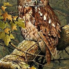 Схема вышивки «Сова в осеннем лесу»