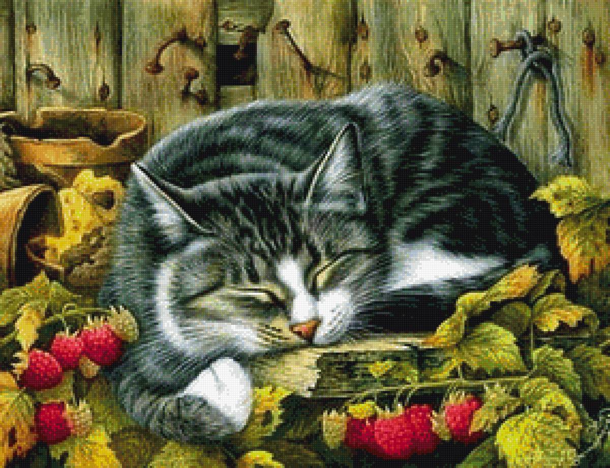 Мурзик - кот, малина, сон - предпросмотр