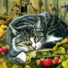 Схема вышивки «Мурзик»