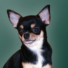 Схема вышивки «МАНДАРИН»