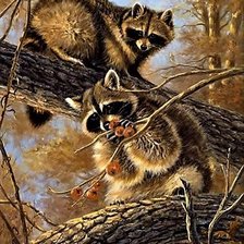 Схема вышивки «Еноты 2»