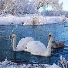 Схема вышивки «№2633792»