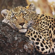 Схема вышивки «Грусть»