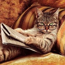 Схема вышивки «Кот ученый»