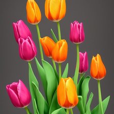 Схема вышивки «Тюльпаны»