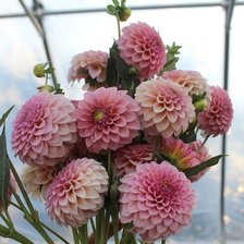 Схема вышивки «№2634601»