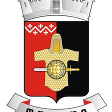 Схема вышивки «დუშეთის გერბი 20 ფერში 400/318»