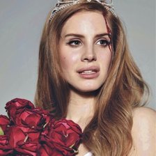 Схема вышивки «Lana Del Rey»