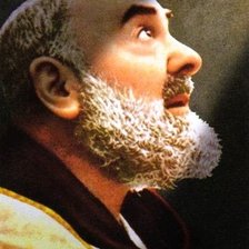 Схема вышивки «Pio»