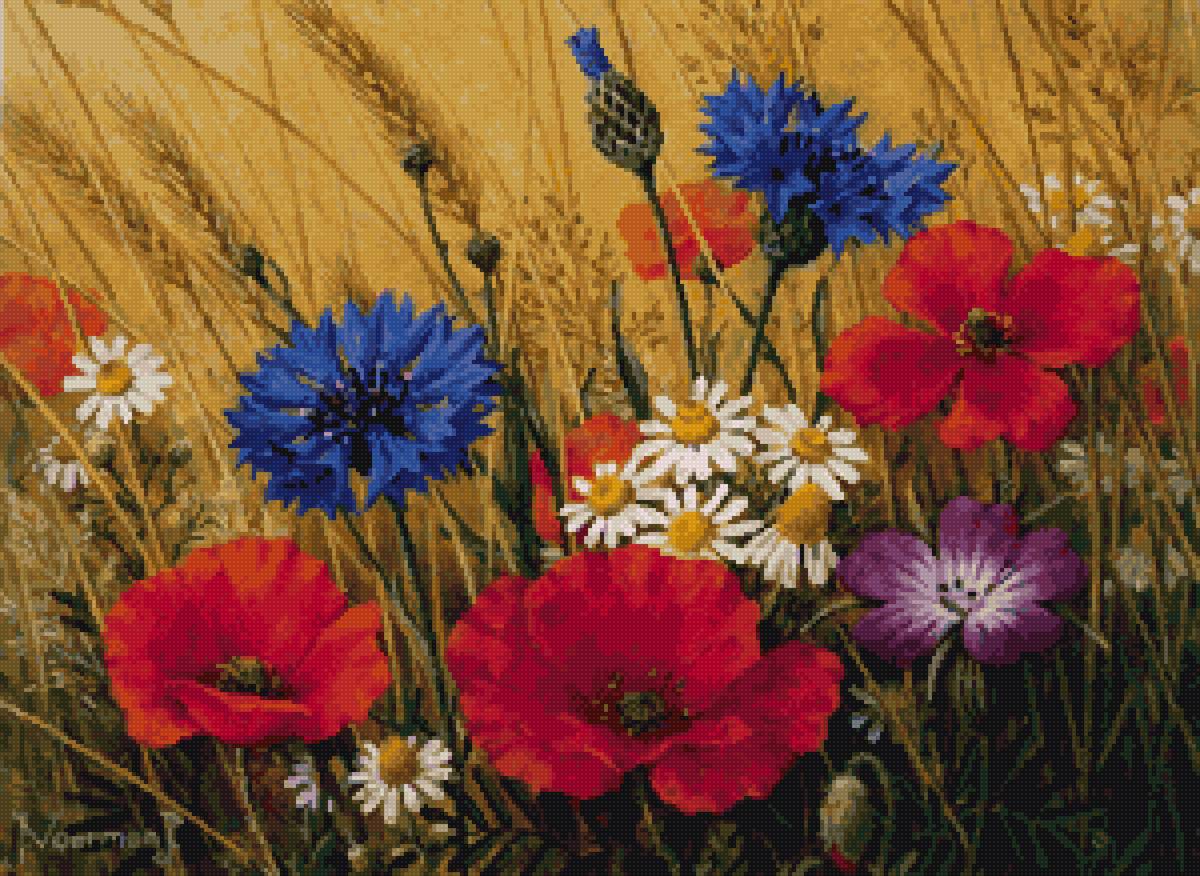 Полевые цветы - лето, цветы - предпросмотр