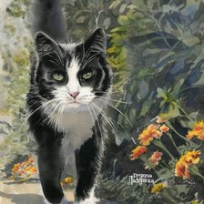 Схема вышивки «Кот»