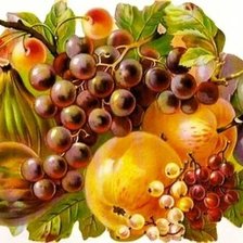 Схема вышивки «№2637403»