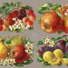 Схема вышивки «№2637464»