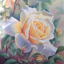 Схема вышивки «Роза»