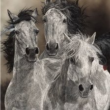 Схема вышивки «№2637643»