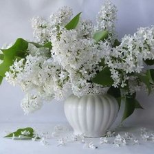 Схема вышивки «№2637662»