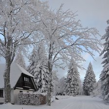 Схема вышивки «№2637676»