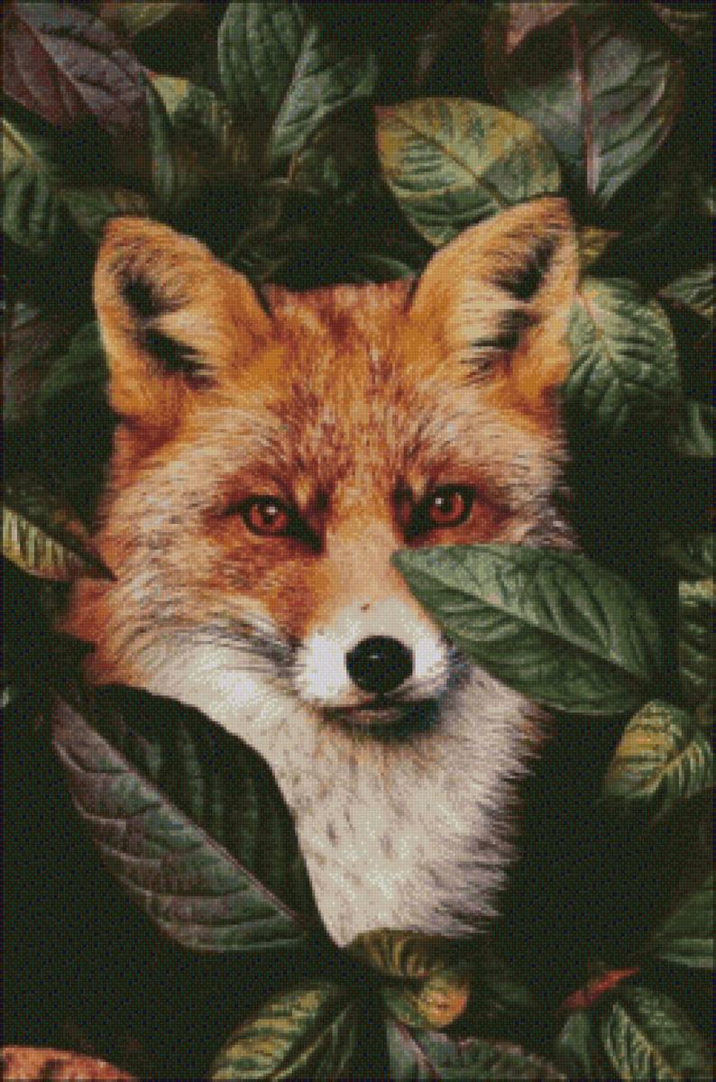 Ромео - предпросмотр