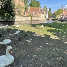 Схема вышивки «Лебединый Берег в Брюгге»