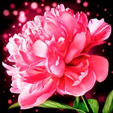 Схема вышивки «красота пиона»