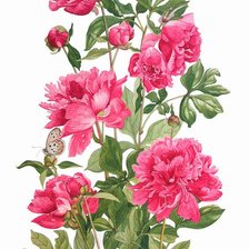 Схема вышивки «Пионы»