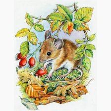 Схема вышивки «№2639301»