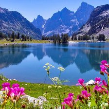 Схема вышивки «Озеро с цветами»