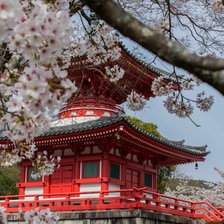 Схема вышивки «пагода. сакура»