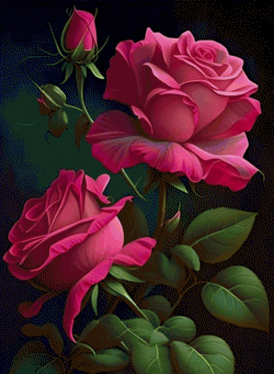 Hoa hồng - предпросмотр