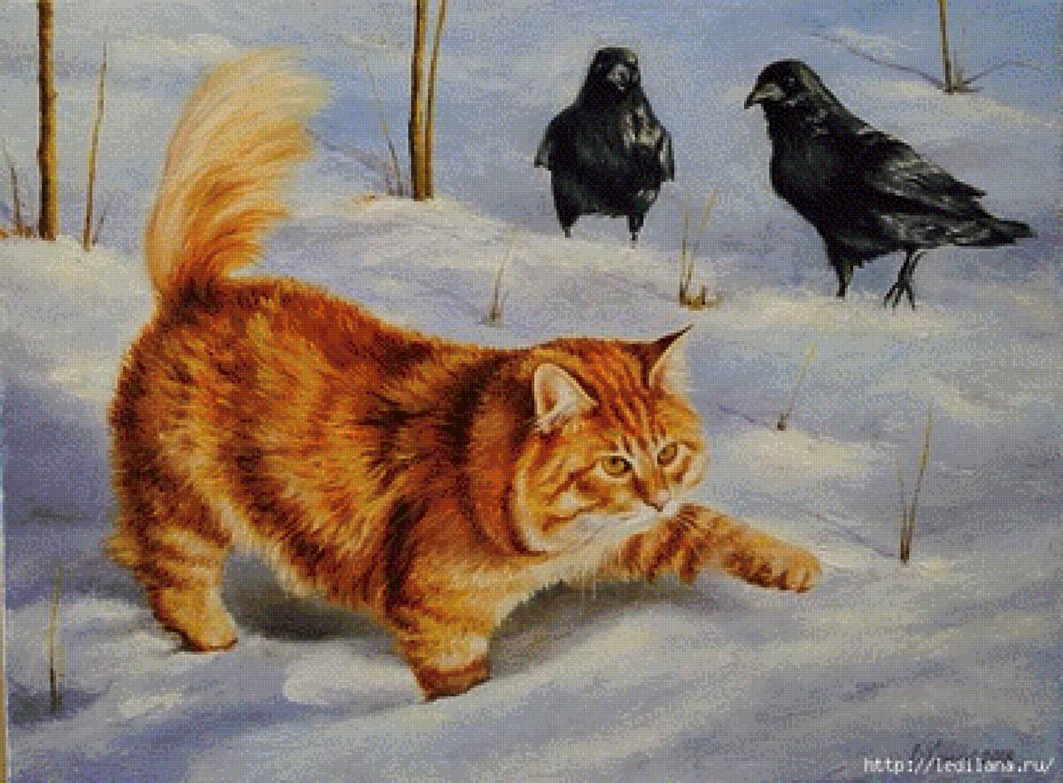 Зимняя прогулка - кот - предпросмотр