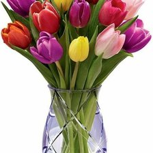Букет тюльпанов