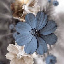 Схема вышивки «Цветок»