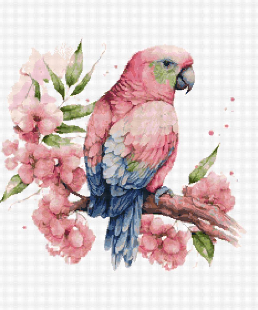 Попугай - птица, рисунок, попугай - предпросмотр