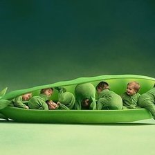 Схема вышивки «№2642225»