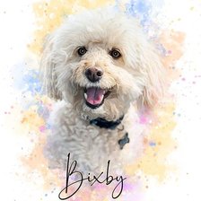 Схема вышивки «Watercolor Pet»