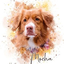 Схема вышивки «Watercolor Pet»